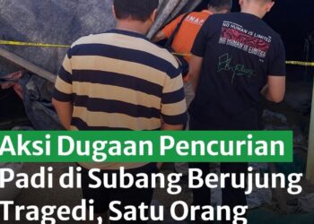 Maling Padi di Subang, Tewas di Hajar Pemilik Penggilingan